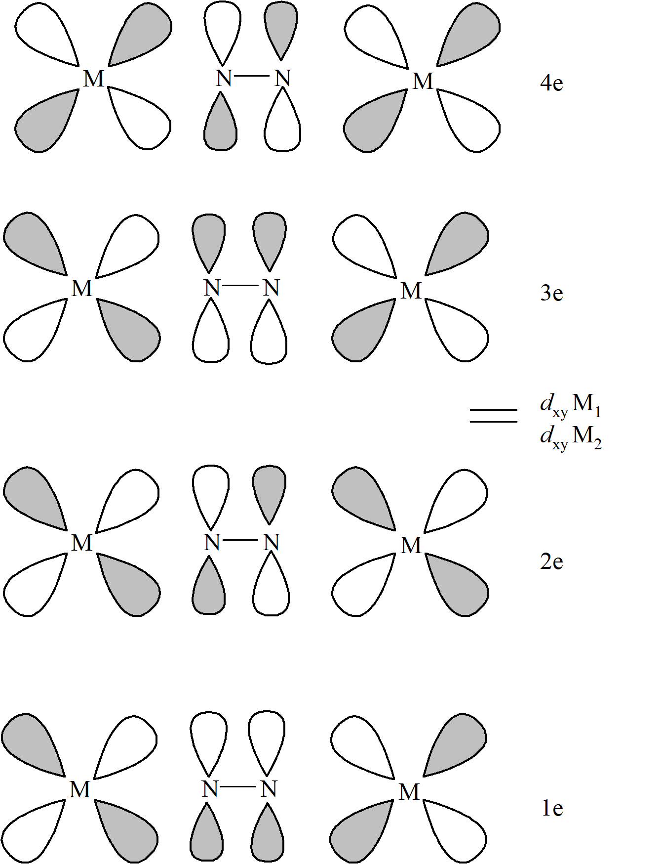Wiązanie metal–diazot w dwurdzeniowych związkach koordynacyjnych